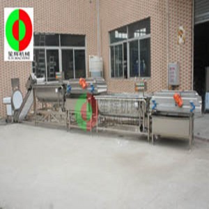 Eddy Current Vegetable Washer